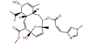 Sarcodictyin E